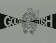 Goldfish Fetish