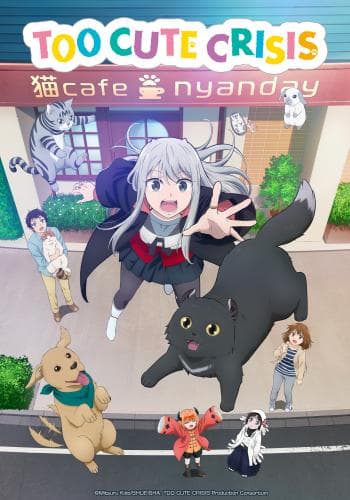 Too Cute Crisis