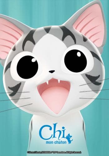 Chi, mon chaton